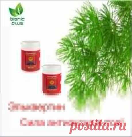 Atlantis Group Products