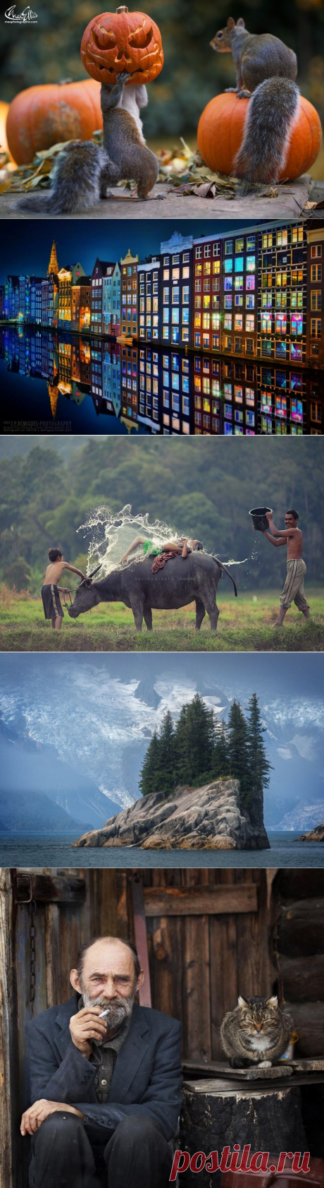 Лучшие фотографии месяца