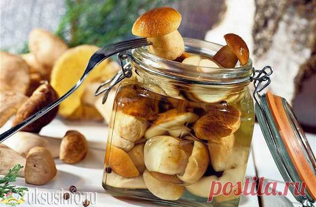 Маринованные грибы на зиму: проверенные рецепты с уксусом