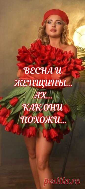 Все женщины весною расцветают
И как подснежники они прекрасны и нежны,
Сердца их от огня Любви пылают,
А души ароматом роз полны!

И мы их любим, нежим и лелеем,
Готовы подвиг им во славу совершить,
А если надо, то и пожалеем...
Ах, как приятно нам так ласково любить!