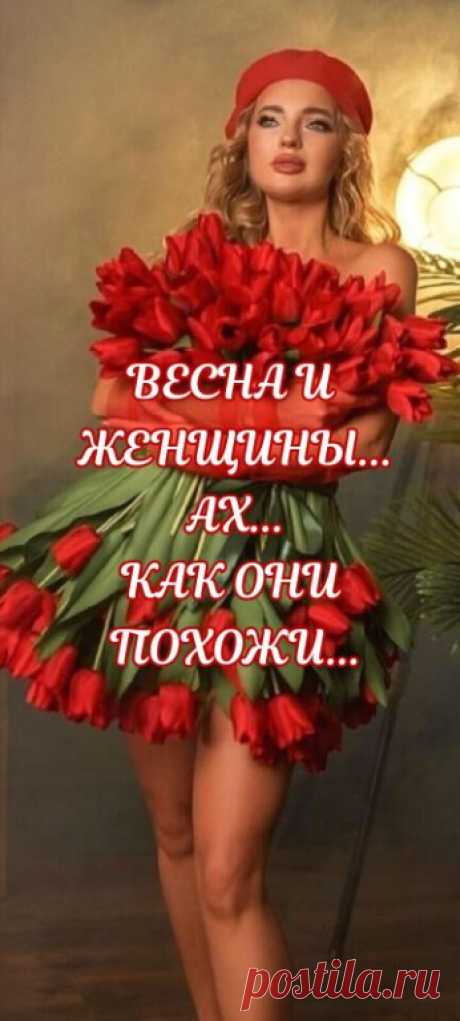Все женщины весною расцветают
И как подснежники они прекрасны и нежны,
Сердца их от огня Любви пылают,
А души ароматом роз полны!

И мы их любим, нежим и лелеем,
Готовы подвиг им во славу совершить,
А если надо, то и пожалеем...
Ах, как приятно нам так ласково любить!