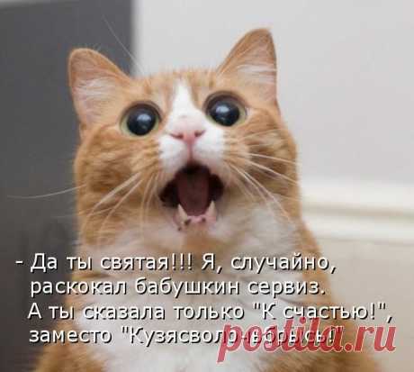 ОВЧАРКА.РОДЫ.ПОСЛЕ РОДОВ.ЩЕНКИ.ПИТАНИЕ.
