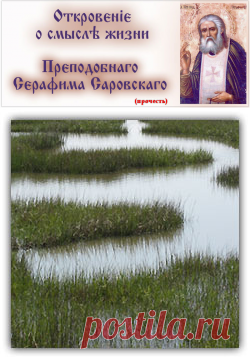 Притчи Царя Соломона