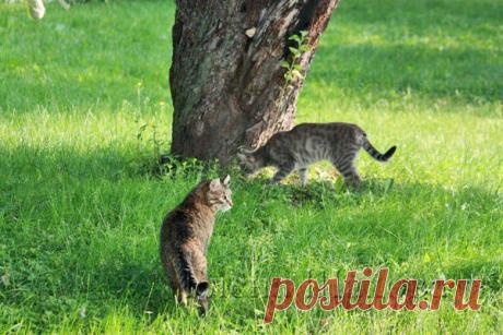 Жить интересно! - Васька Бугров