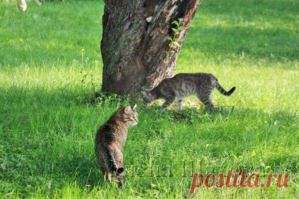 Жить интересно! - Васька Бугров