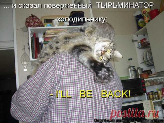Котоматрица: Круть