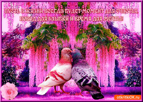 Украшайте свою страницу! Нажмите - "Поделиться" и "Класс"