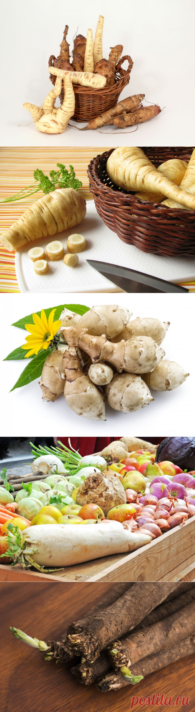 Овощи при сахарном диабете. 3 корнеплода для снижения сахара