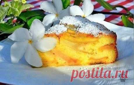 ВКУСНАЯ ШАРЛОТКА » В сети – себя просвети!