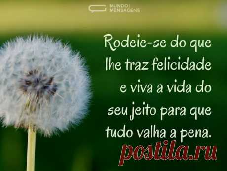 rodeie-se do que lhe traz felicidade e viva a vida do seu jeito...