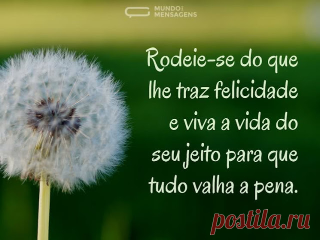 rodeie-se do que lhe traz felicidade e viva a vida do seu jeito...