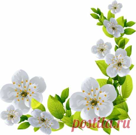 (24) Pinterest