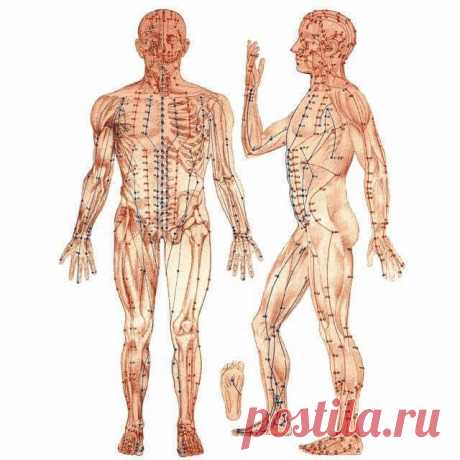 Важные точки, которые помогут избежать вирусных заболеваний / Будьте здоровы