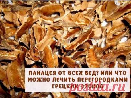 Панацея от всех бед? Или что можно полечить перегородками грецких орехов
Поразительно, но, если верить народной медицине, с помощью перегородок грецких орехов можно справиться с целым рядом конкретных заболеваний.
Во первых это хорошее средство для восполнения дефицита йода в организме
Как показывают наблюдения специалистов, недостаток йода в организме способен спровоцировать развитие многих заболеваний, среди которых нарушения работы щитовидной железы, мастопатия, миома, аденома предстательно
