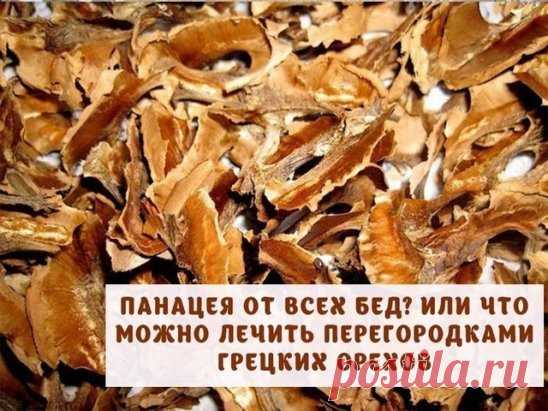 Панацея от всех бед? Или что можно полечить перегородками грецких орехов
Поразительно, но, если верить народной медицине, с помощью перегородок грецких орехов можно справиться с целым рядом конкретных заболеваний.
Во первых это хорошее средство для восполнения дефицита йода в организме
Как показывают наблюдения специалистов, недостаток йода в организме способен спровоцировать развитие многих заболеваний, среди которых нарушения работы щитовидной железы, мастопатия, миома, аденома предстательно