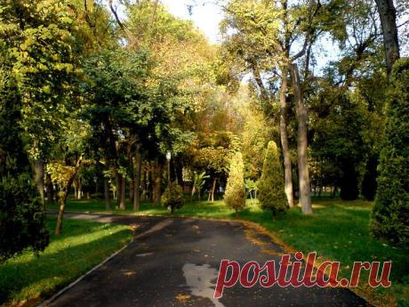 Сергей Кожевников
60 лет, Россия, г.Ликино-Дулево