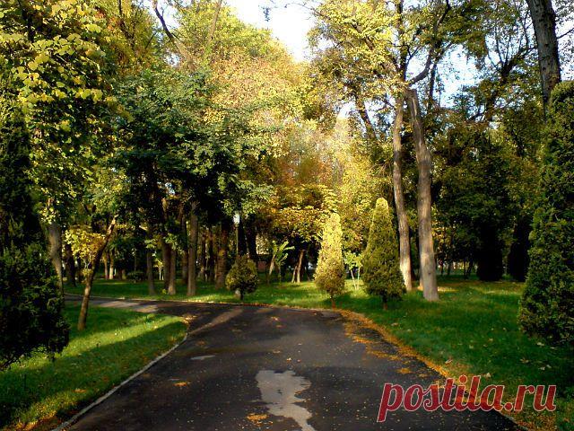 Сергей Кожевников
60 лет, Россия, г.Ликино-Дулево