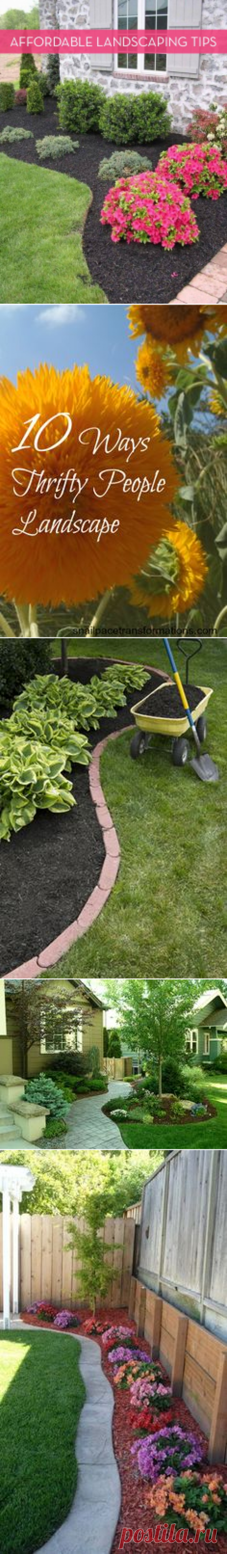 10 Tips For Landscaping On A Budget | Landscaping, Yards and Money