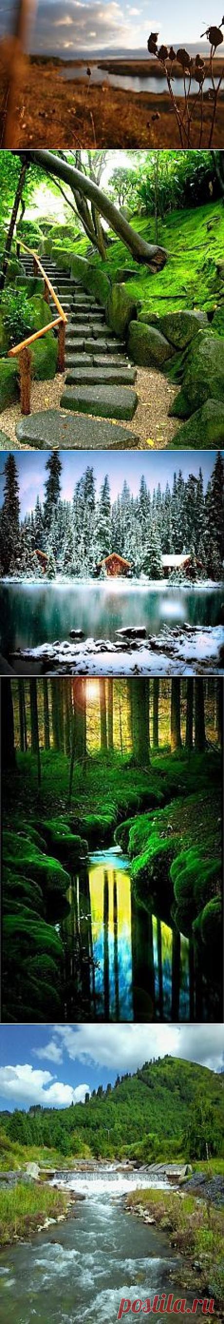 Лучшие фото – Пейзажи/Флора – Community – Google+