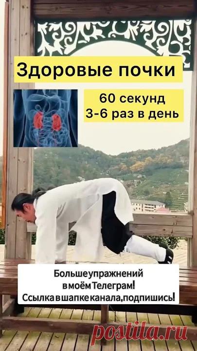 Здоровые почки и позвоночник 👍 #упражнения
