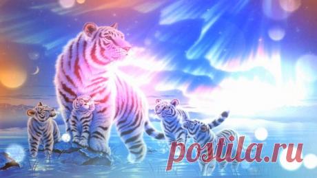 Нарисую новый мир - Детские видеоклипы Станислава Молчанова