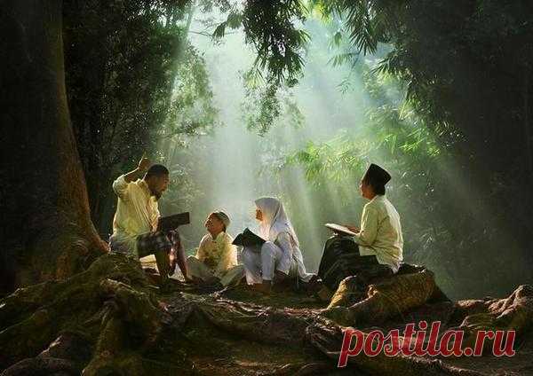 Фотограф Agah Permadi - 13 фото. Фотографии Ольга Дудина.