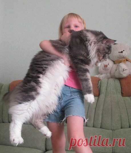 geram: Каким судом судите,таким будете судимы;и какою мерою мерите,такою и вам будут мерить---Иисус Христос