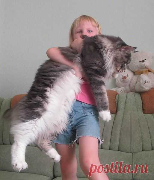 geram: Каким судом судите,таким будете судимы;и какою мерою мерите,такою и вам будут мерить---Иисус Христос