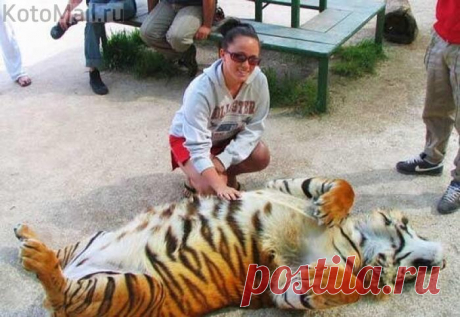 Пузико почеши !