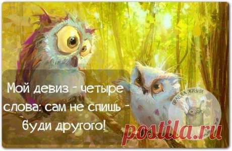 Прикольные фразки в картинках