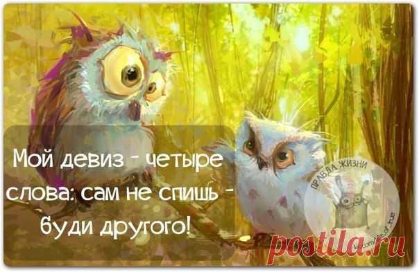 Прикольные фразки в картинках