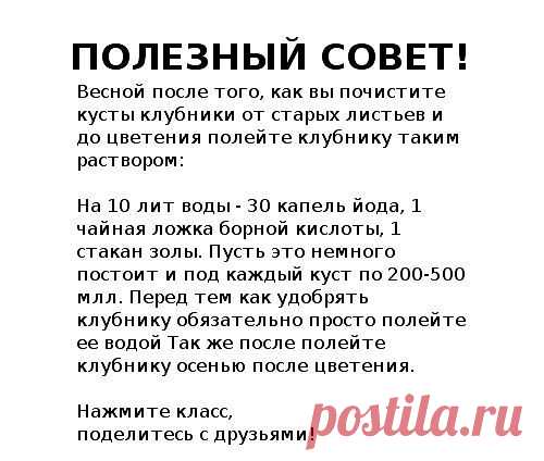 (50) Одноклассники