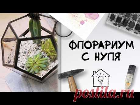 Флорариум с нуля [Идеи для жизни]