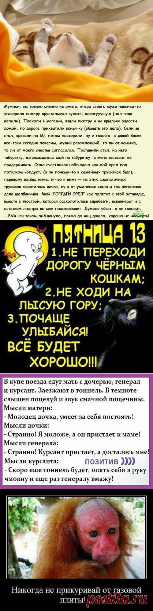 сообщение Рябина_Рябинушка : Пятница, тринадцатое ...всё будет хорошо !!! (04:23 13-11-2015) [5458684/376655327] - g.bosova@mail.ru - Почта Mail.Ru