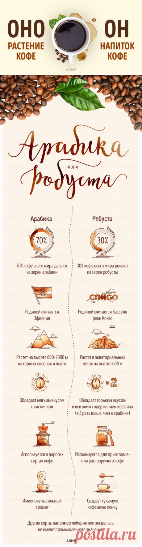 Гид по кофе