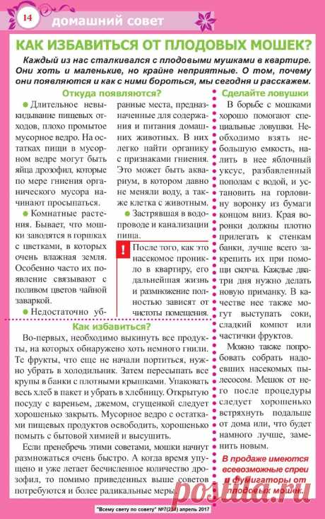 Как избавиться от плодовых мошек в квартире