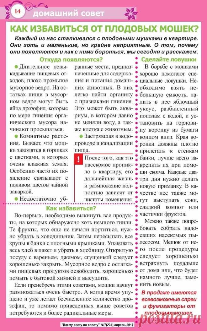 Как избавиться от плодовых мошек в квартире