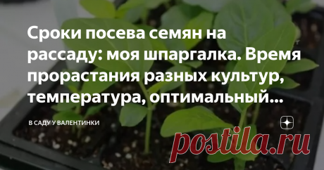 Сроки посева семян на рассаду: моя шпаргалка. Время прорастания разных культур, температура, оптимальный возраст Определяем безошибочно время начала посевной: сроки прорастания в зависимости от температуры, оптимальный режим, оптимальный возраст рассады для высадки на постоянное место - все это важно для вычисления точной даты посева. Итого: маленькая и полезная шпаргалка для распространенных культур. Сколько дней всходит рассада: смотрим на градусник