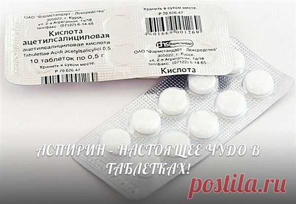 Аспирин в хозяйстве | МОЯ КВАРТИРА