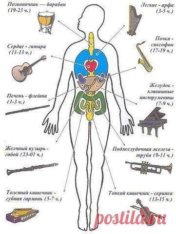 Одноклассники