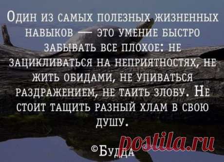 Ирина Сребнюк