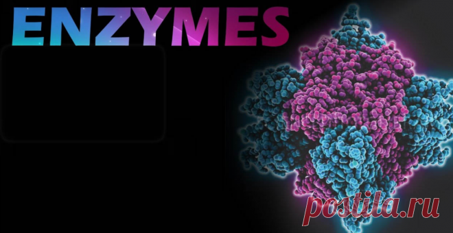 Enzymes Market: A thorough analysis of statistics about the current as well as emerging trends offers clarity regarding the Enzymes Market dynamics. The report includes Porter’s Five Forces to analyze the prominence of various features such as the understanding of both the suppliers and customers, risks posed by various agents, the strength of competition, and promising emerging businesspersons to understand a valuable resource. Also, the report spans the enzyme market research data of various c