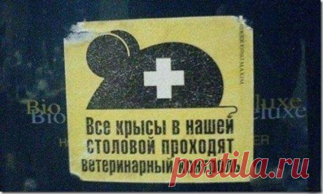 Супер маразмы | Удивительный мир