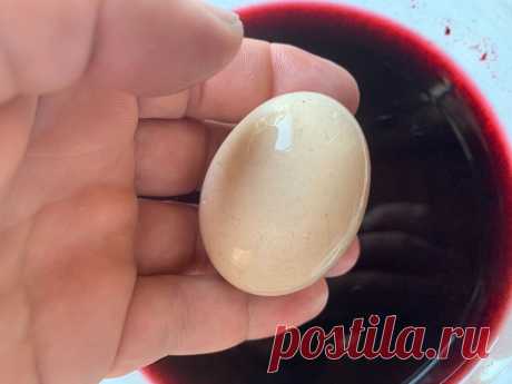 Гость из Молдавии рассказал, зачем когда делает вино, кладет в него сырое яйцо. А ведь работает —... Способ хорош тем, что не нужно иметь ни ареометр, ни весы, ни мерную емкость