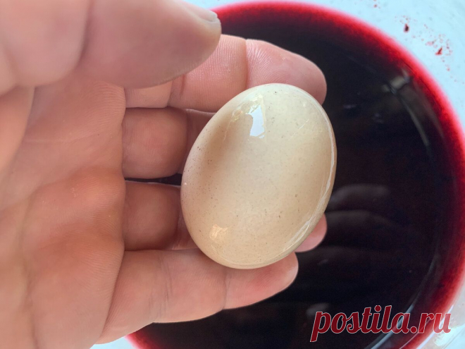 Гость из Молдавии рассказал, зачем когда делает вино, кладет в него сырое яйцо. А ведь работает —... Способ хорош тем, что не нужно иметь ни ареометр, ни весы, ни мерную емкость