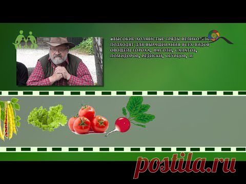 Холмистая грядка Хольцера (Видео) / Органическое земледелие, пермакультура / Зеленые решения для всей семьи. Green Life