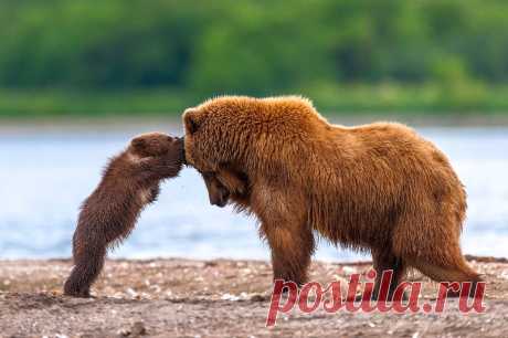 35PHOTO - Сергей Иванов - Мамка ! Ну что же ты такая, упёртая !