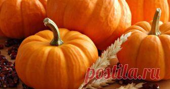 Как хранить тыкву на зиму? Тыква – настоящая сокровищница витаминов и микроэлементов, которые так нужны организму в период холодов. Целебный овощ хорошо растет в разных климатических зонах. При правильном уходе можно получить б...