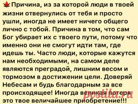 (47) Одноклассники