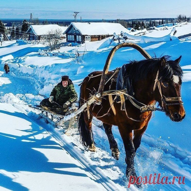 (50) Одноклассники